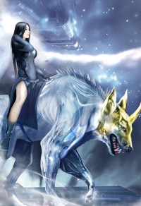 盗君心，王的神偷拽妃